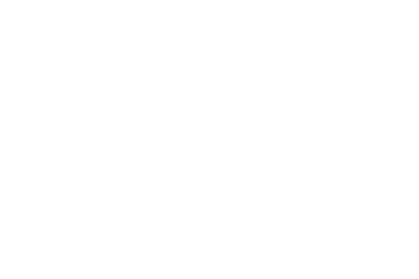 Three Flowers Photography